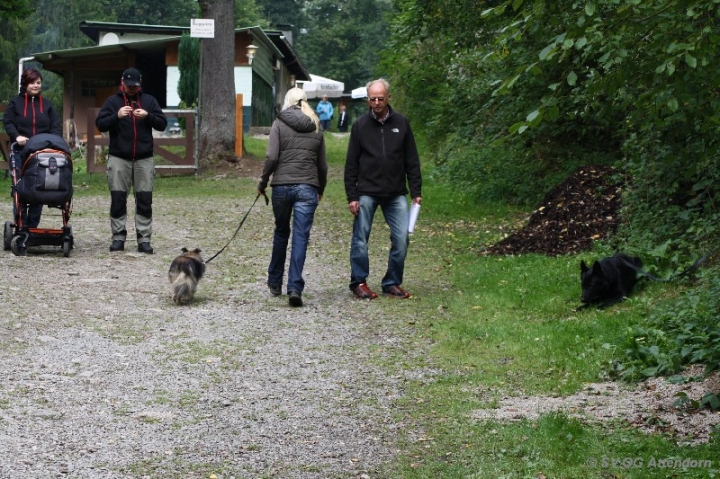 Herbstprüfung 2013
