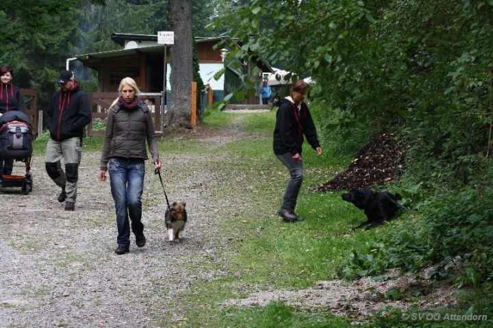 Herbstprüfung 2013