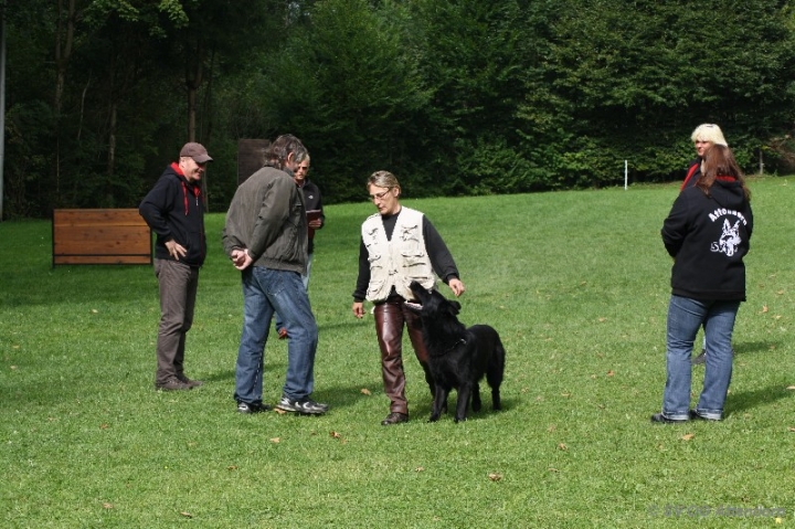 Herbstprüfung 2013