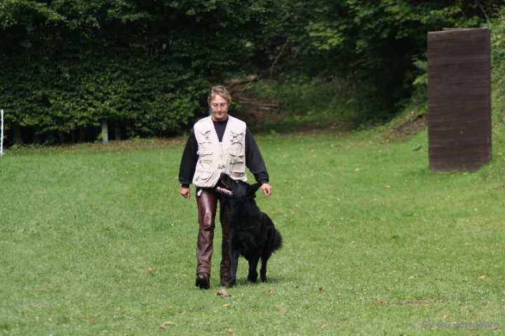 Herbstprüfung 2013