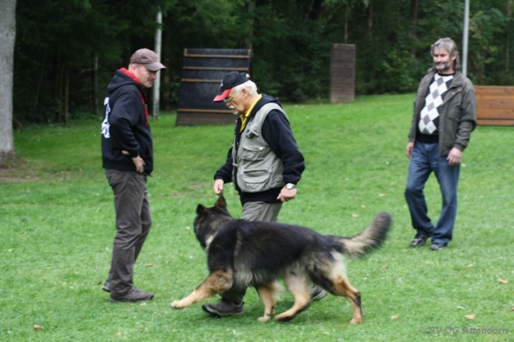 Herbstprüfung 2013