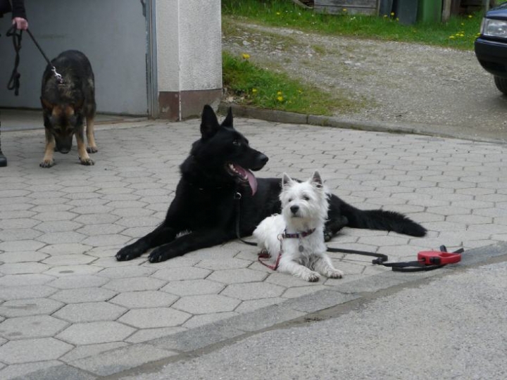 Wandertag 2012