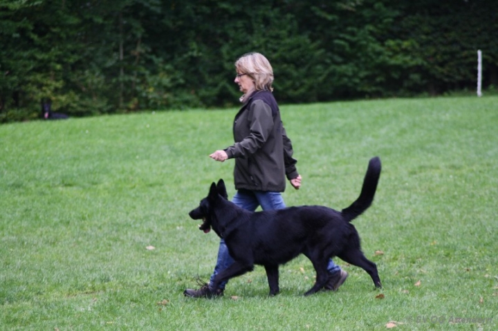 Herbstprüfung 2013