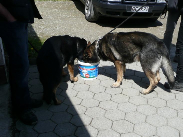 Wandertag 2012