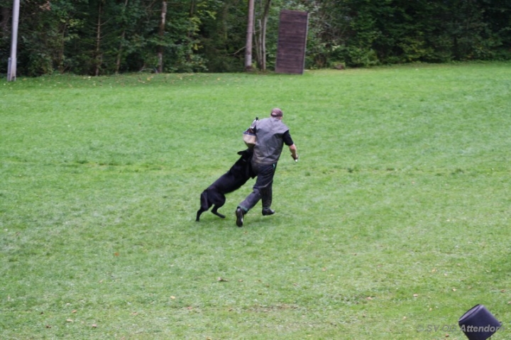 Herbstprüfung 2013