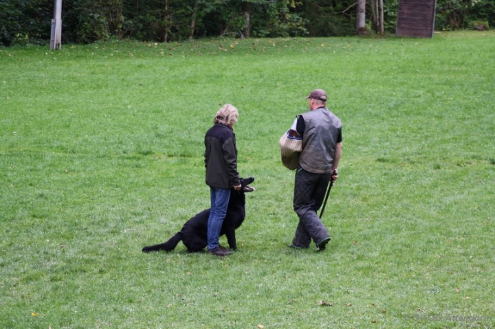 Herbstprüfung 2013