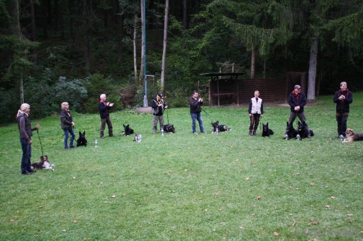 Herbstprüfung 2013