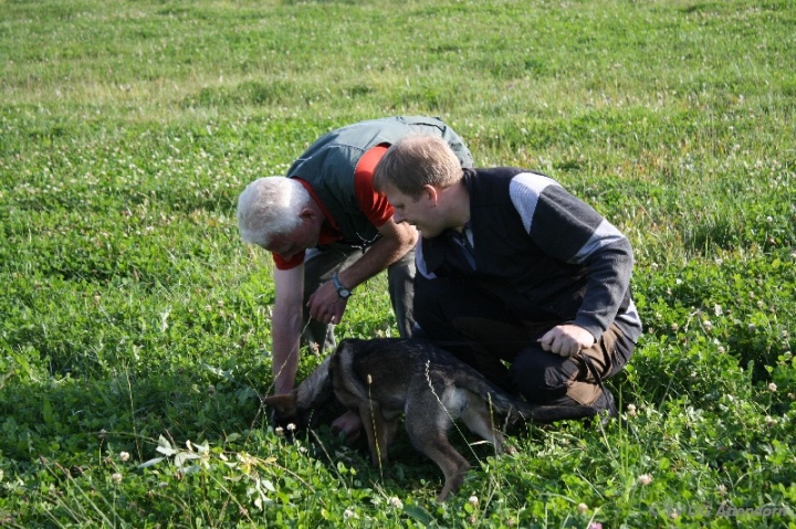 Fährten in der OG Attendorn