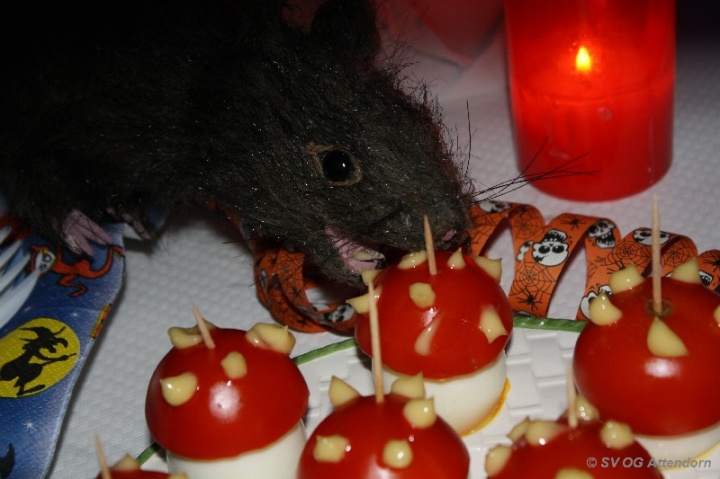 Halloween-Party 2013