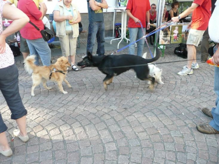 Stadtfest in Attendorn 2012