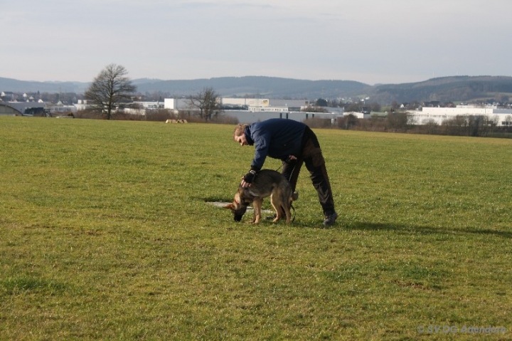Fährten in der OG Attendorn