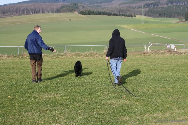 Fährten in der OG Attendorn