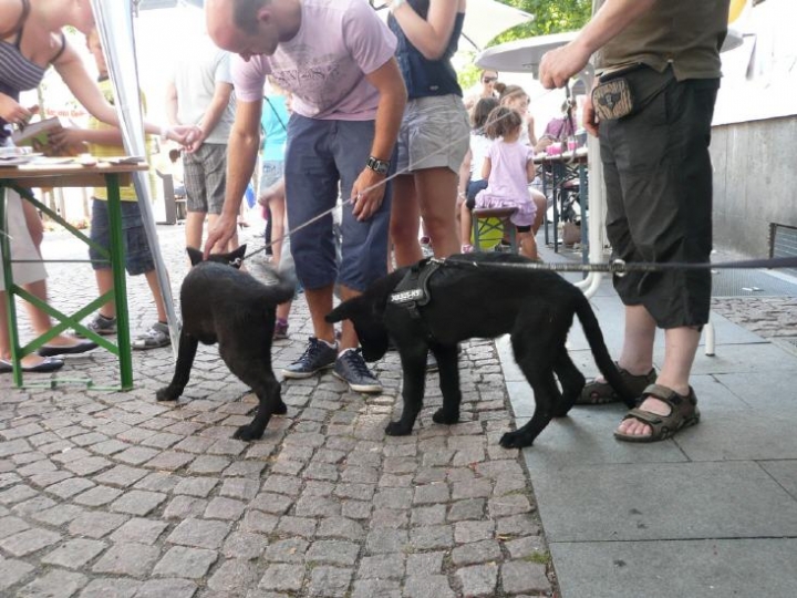 Stadtfest in Attendorn 2012