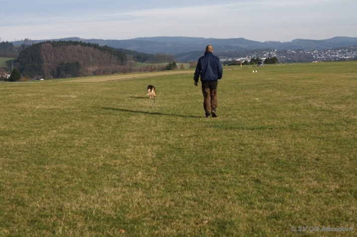 Fährten in der OG Attendorn