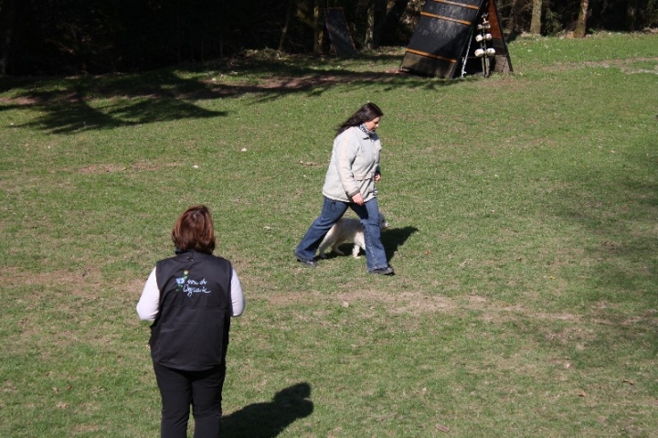 Obedience-Seminar 2013 mit Diana Ripp