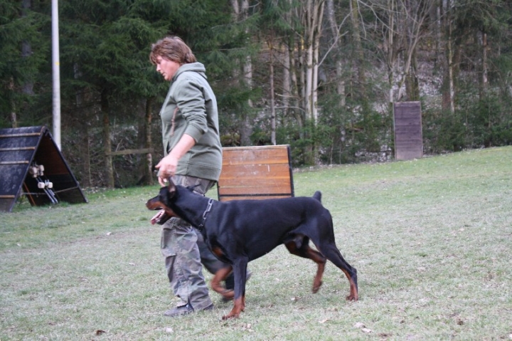 Ein ganz normaler Trainingstag