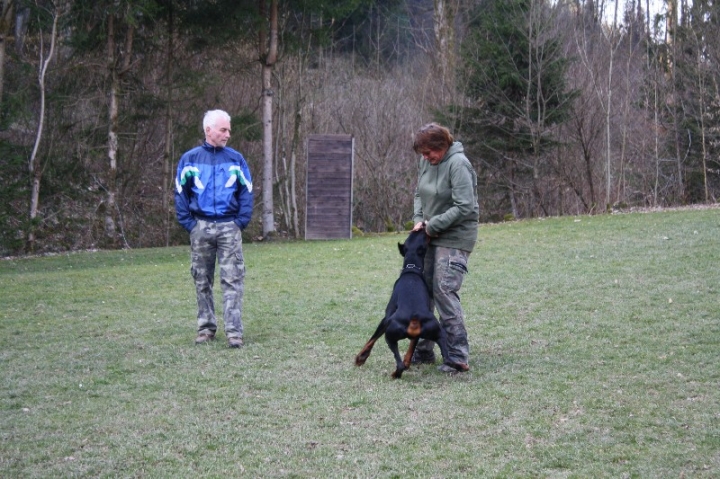 Ein ganz normaler Trainingstag