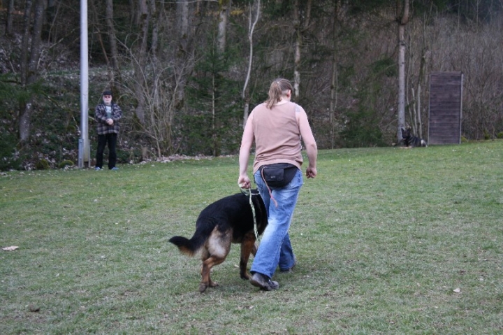 Ein ganz normaler Trainingstag