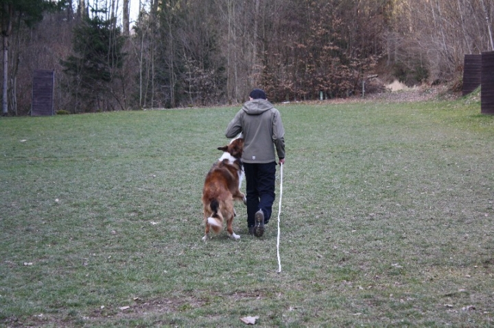 Ein ganz normaler Trainingstag