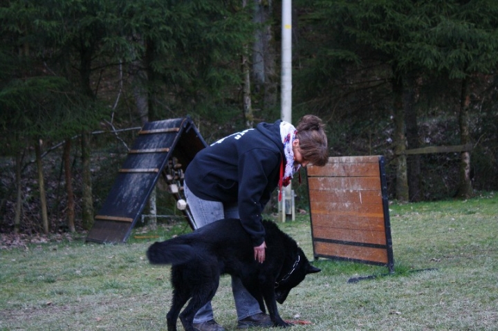 Ein ganz normaler Trainingstag