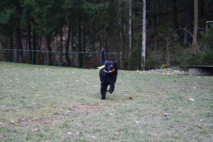 Ein ganz normaler Trainingstag