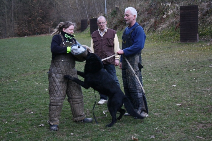 Ein ganz normaler Trainingstag