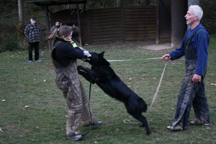 Ein ganz normaler Trainingstag