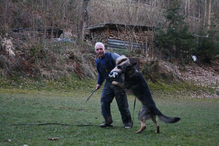 Ein ganz normaler Trainingstag