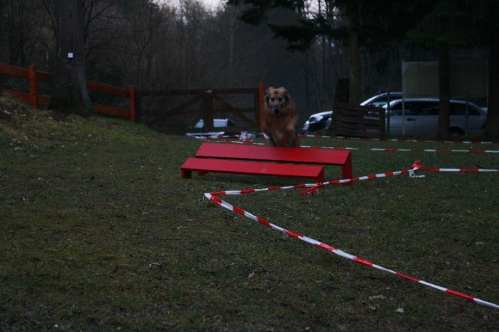 Ein ganz normaler Trainingstag