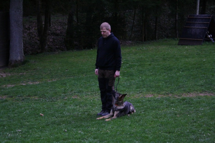 Obedience-Training in der OG Attendorn