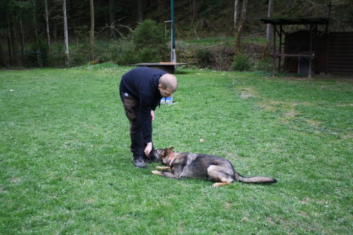 Obedience-Training in der OG Attendorn