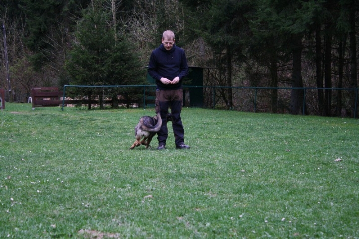 Obedience-Training in der OG Attendorn