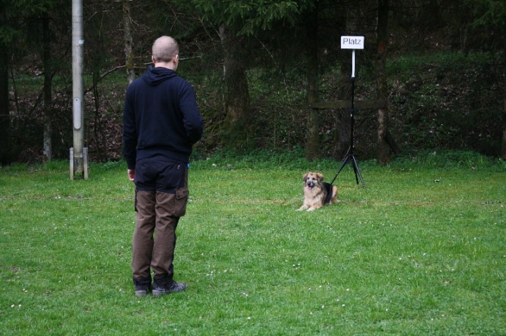 Obedience-Training in der OG Attendorn