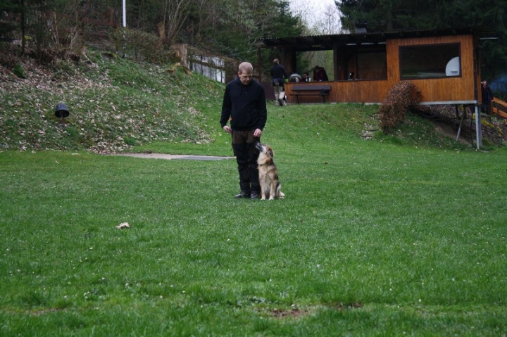Obedience-Training in der OG Attendorn
