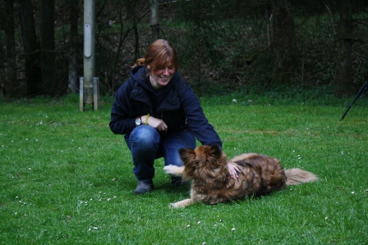 Obedience-Training in der OG Attendorn
