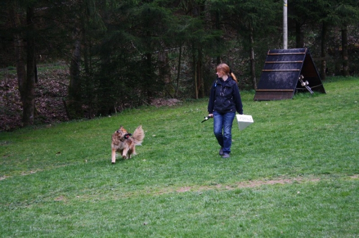 Obedience-Training in der OG Attendorn