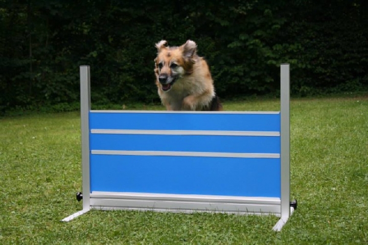 Obedience-Training in der OG Attendorn