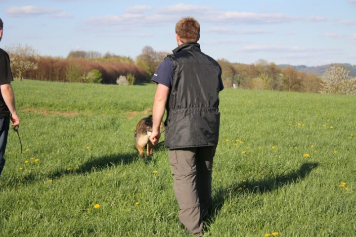 Fährten in der OG Attendorn - 16.04.2014