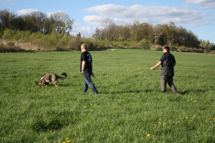 Fährten in der OG Attendorn - 16.04.2014