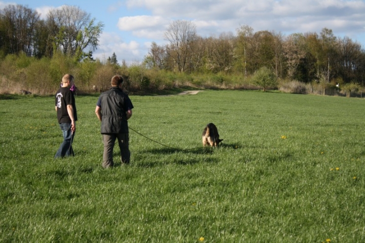 Fährten in der OG Attendorn - 16.04.2014