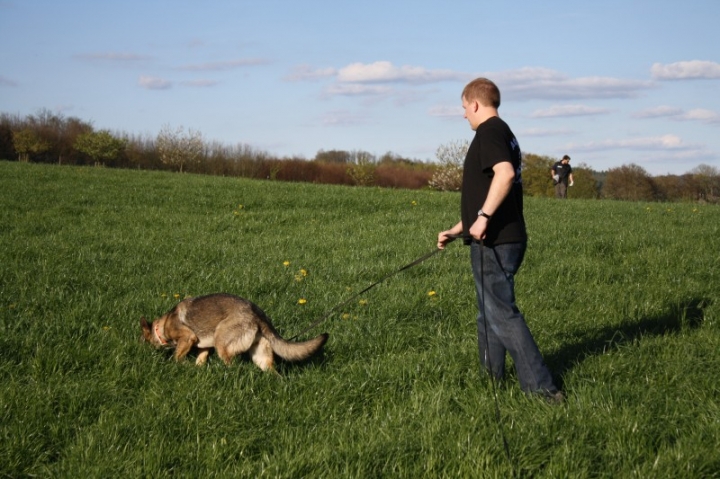 Fährten in der OG Attendorn - 16.04.2014