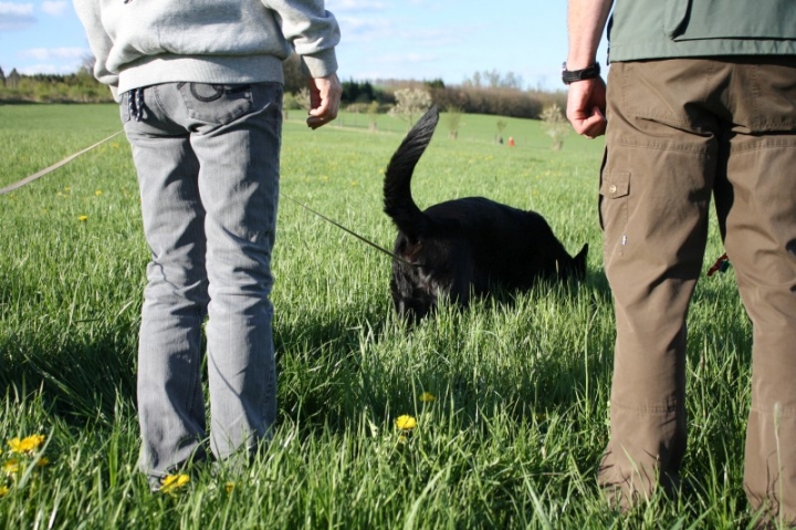 Fährten in der OG Attendorn - 16.04.2014
