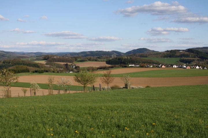 Fährten in der OG Attendorn - 16.04.2014