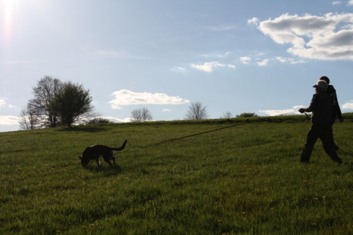 Fährten in der OG Attendorn - 16.04.2014