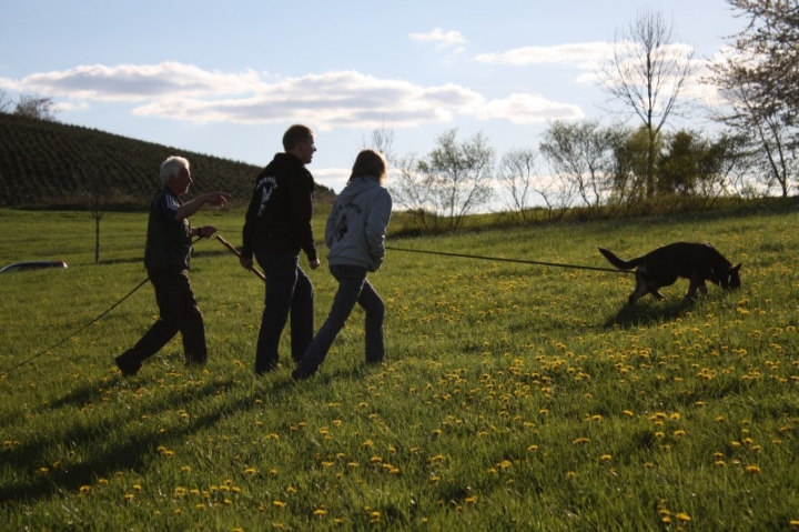 Fährten in der OG Attendorn - 16.04.2014