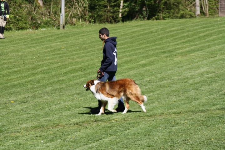 Frühjahrsprüfung 2014