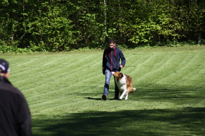 Frühjahrsprüfung 2014