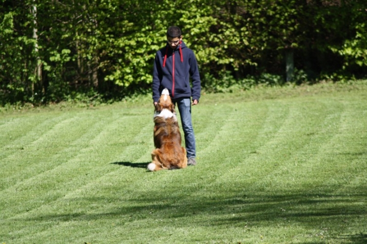 Frühjahrsprüfung 2014