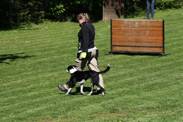 Frühjahrsprüfung 2014
