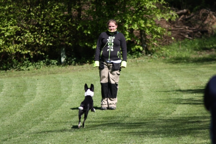 Frühjahrsprüfung 2014